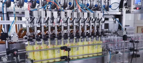 透過數(shù)據(jù)看變化，雙11購(gòu)物熱彰顯消費(fèi)市場(chǎng)活力與電子商務(wù)服務(wù)提升