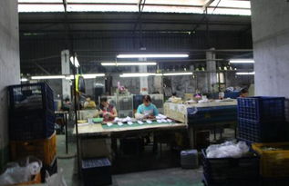 國網莆田供電公司線路纜化改造助力世界佛教論壇舉辦的法律保障