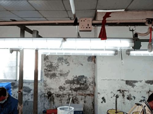 鳳崗企業因違法行為被罰45000元，監管部門正嚴查企業這些行為